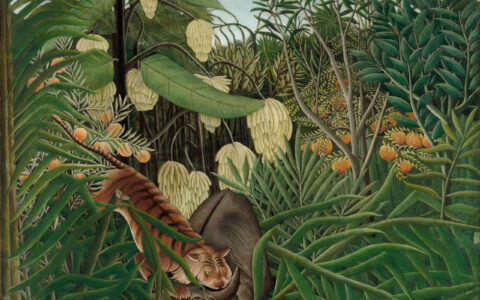 Fight between a Tiger and a Buffalo, Henri Rousseau, 1908