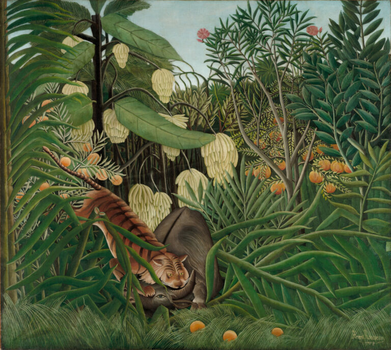 Combat entre un tigre et un buffle, par le Douanier Rousseau, en 1908