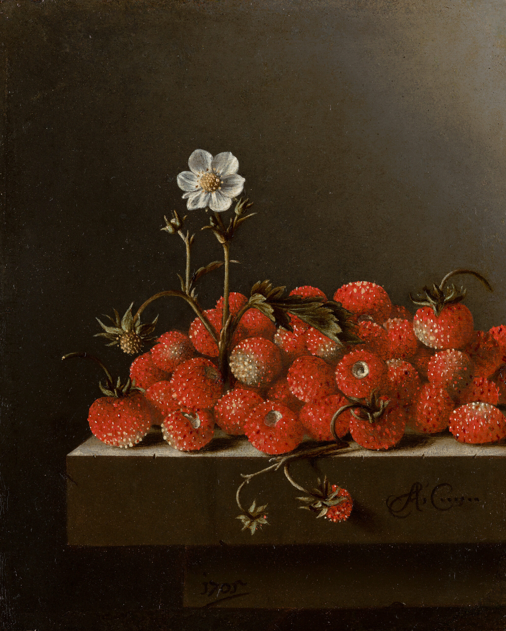 Nature Morte aux Fraises, par Adriaen Coorte, en 1705