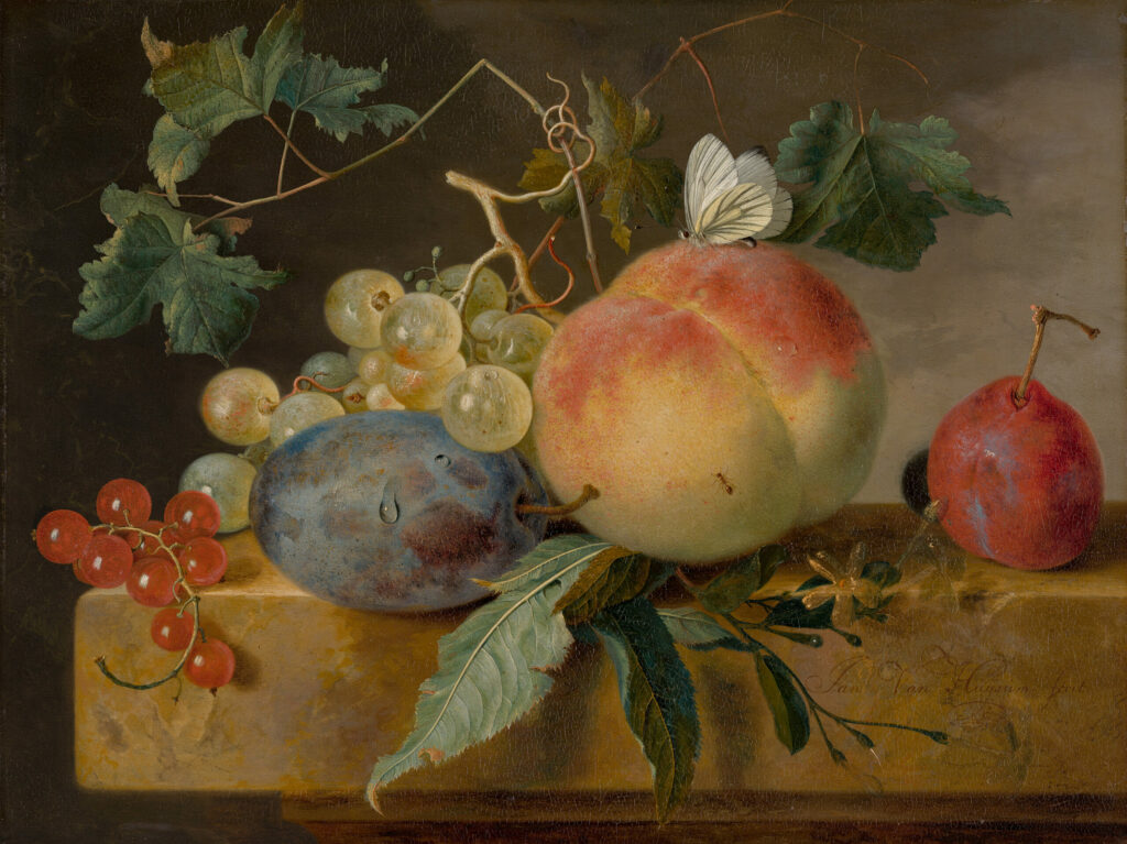 Nature morte aux fruits, Jan Van Huysum, 18e siècle, Mauritshuis, La Haye