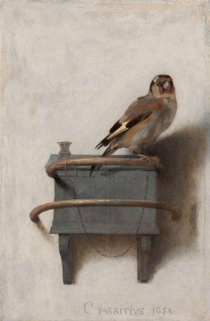 Le Chardonneret, Carel Fabritius, 1654, Mauritshuis, La Haye