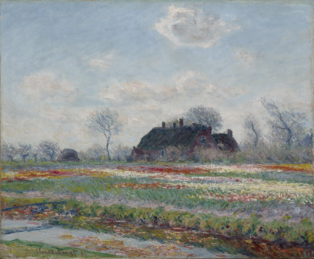 Champs de tulipes à Sassenheim, Claude Monet, 1886, Clark Art Institute, Williamstown
