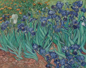 Iris, Vincent van Gogh, 1889, The J. Paul Getty Museum, Los Angeles