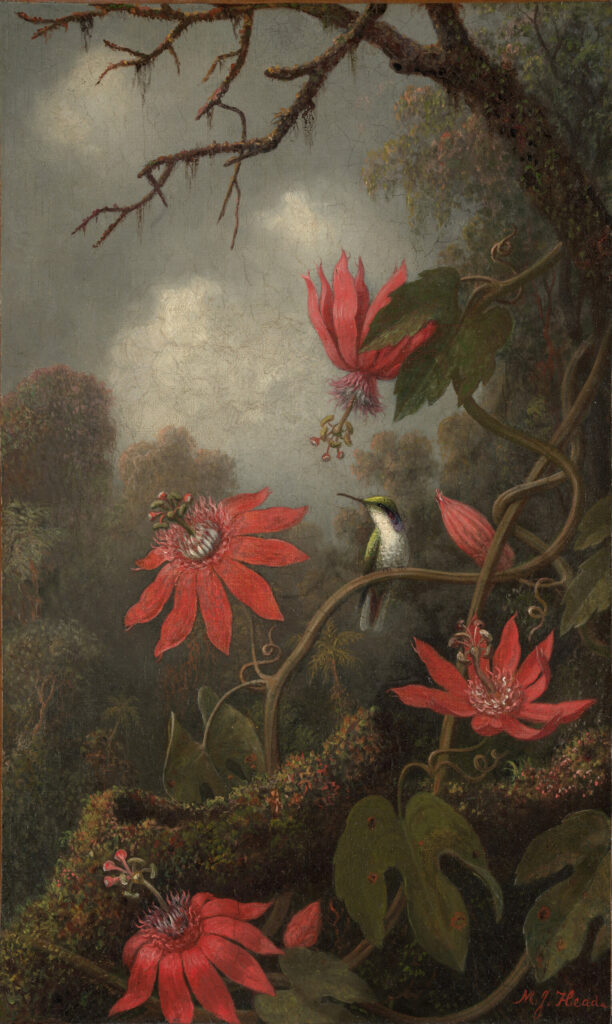 Hummingbird and Passionflower, Martin Johnson Heade, c. 1875–1885, The Metropolitan Museum of Art, New York